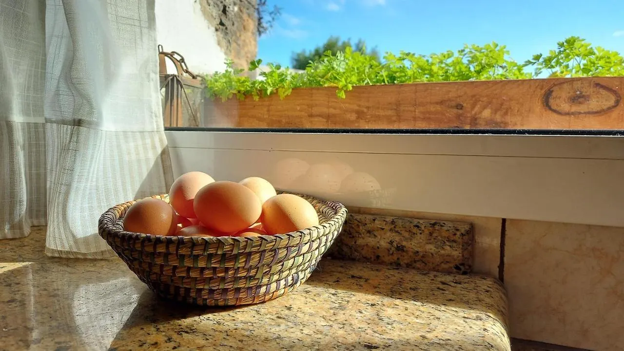 Casa Natura Ainhoa La Oliva Accommodatie bij particulieren
