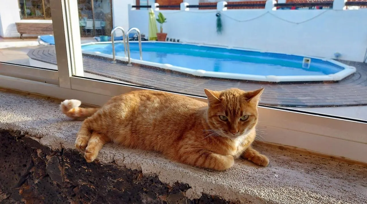 Casa Natura Ainhoa La Oliva